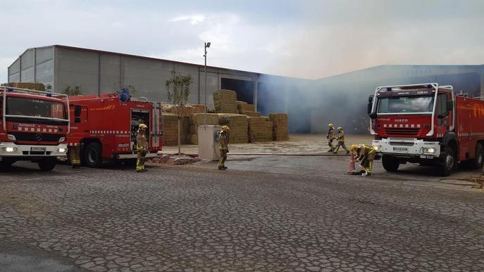 Les negligències causen el 54 per cent dels incendis forestals a Lleida