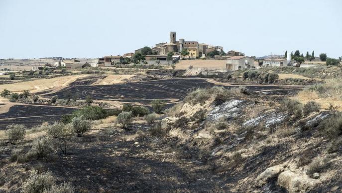 Els Bombers donen per extingit l'incendi forestal de la Ribera d'Ebre