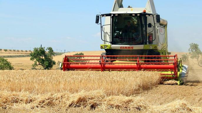 Els pagesos catalans cobren 265,4 milions de la PAC