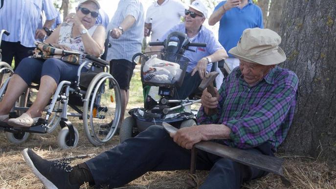 La festa del Segar de la Fuliola compleix 40 anys