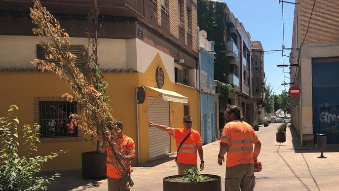 Amenaça de multa a l'empresa de jardineria de Lleida per mal manteniment