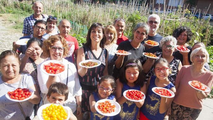 Tast de tomates conreades als horts urbans de Tàrrega