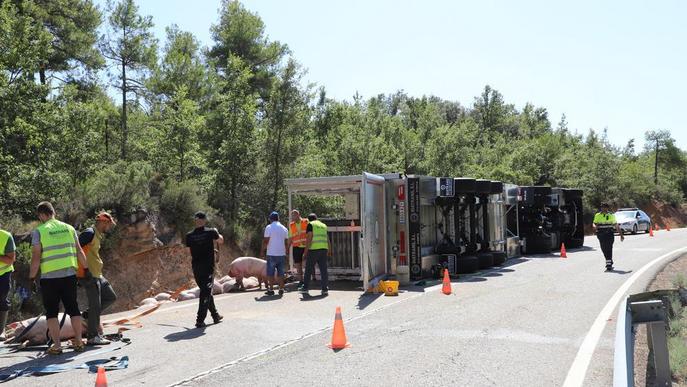 Tallen més de 8 hores la C-1412b a la Baronia de Rialb al bolcar un tràiler