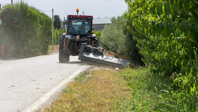 La Paeria desbrossa marges de 26 quilòmetres de camins de l’Horta