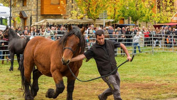 La fira ramadera d’Esterri d’Àneu tanca amb uns 3.500 visitants