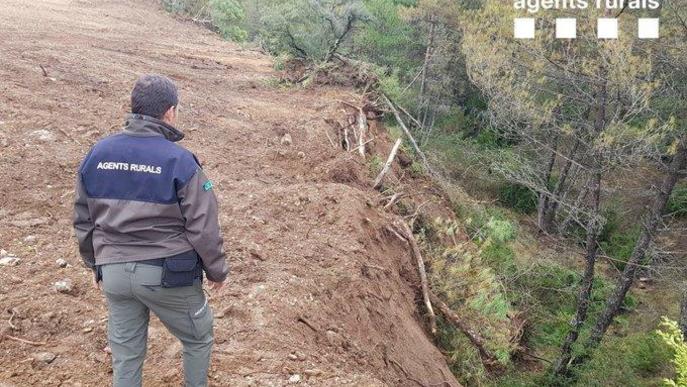 Denunciat per una tala il·legal d'arbres al Pallars Jussà