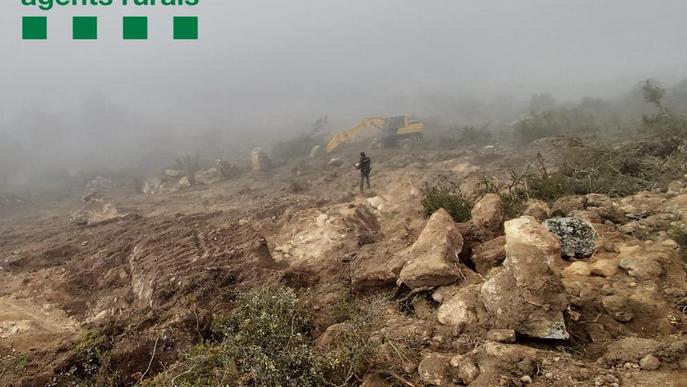 Els Rurals denuncien una tala forestal il·legal al Pallars Jussà