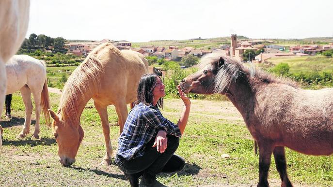 Un oasi per a cavalls al límit