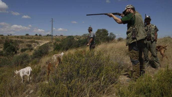 Els caçadors amenacen amb una 'vaga' contra la pujada de sancions que preveu el Govern