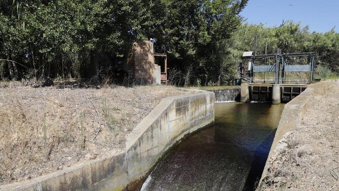 La calor dispara la demanda d'aigua en tots els sistemes de reg