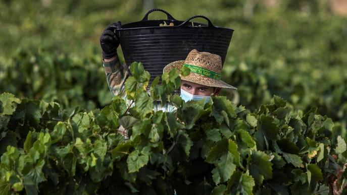 El fre en grans mercats posa en alarma el sector del vi
