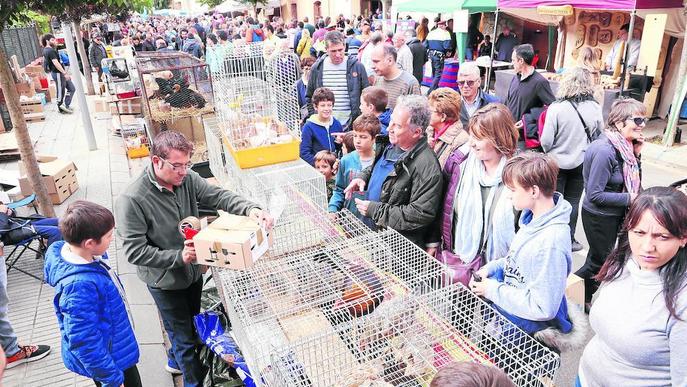 Vilanova de Meià comptarà amb un pavelló per a la Fira de la Perdiu