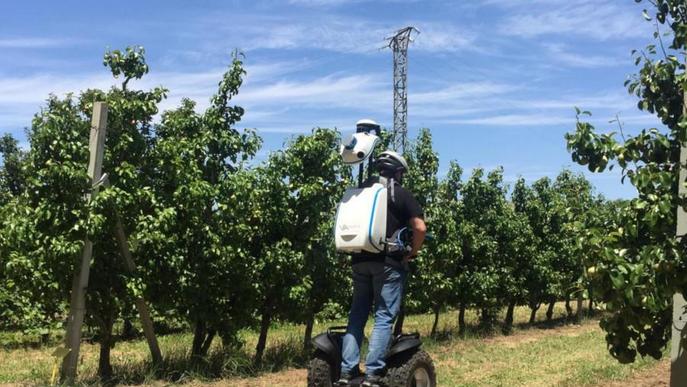 UdL i IRTA financen dos projectes d'investigació agrària