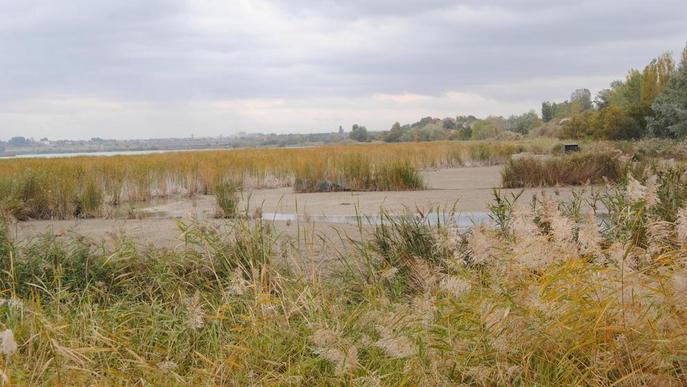 L'Estany d'Ivars i Vila-sana comença a buidar-se