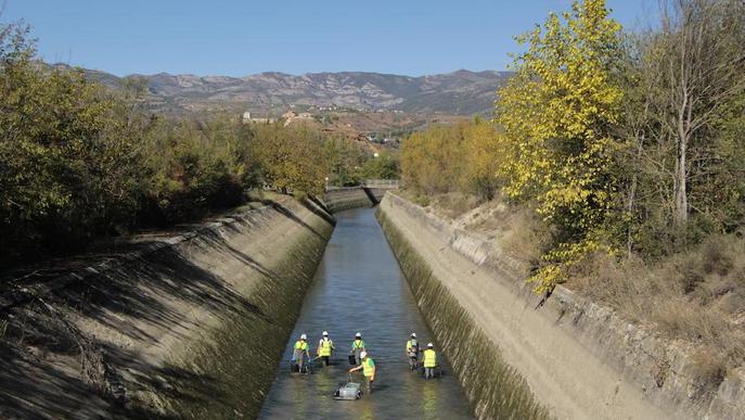 Rescaten 1.400 peixos al canal de Gavet per reparar-lo
