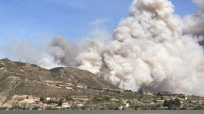 ⏯️ Estabilitzat l'incendi forestal de la Franja