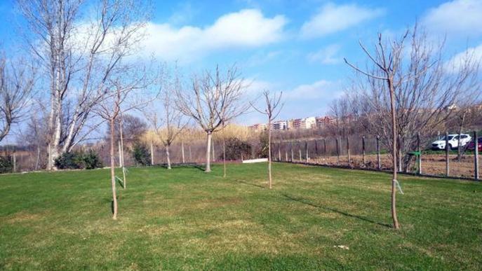 La Paeria planta prop de 900 arbres i 1.200 plantes arbustives durant aquest hivern
