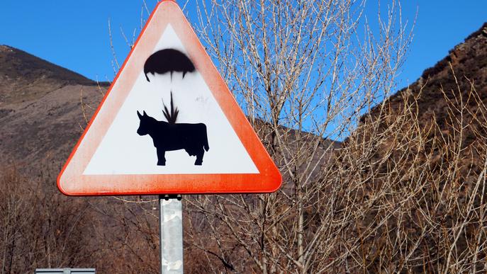⏯️ Cérvols voladors o vaques amb paracaigudes com a mostra d'art a les carreteres del Pirineu