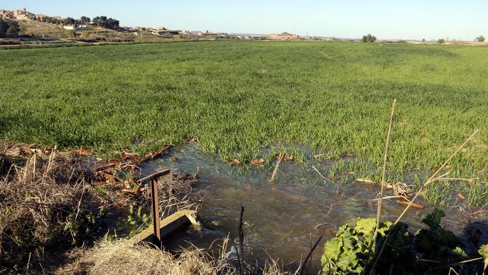 ⏯️ Els regants del Canal d'Urgell inicien una de les campanyes més complicades de la història