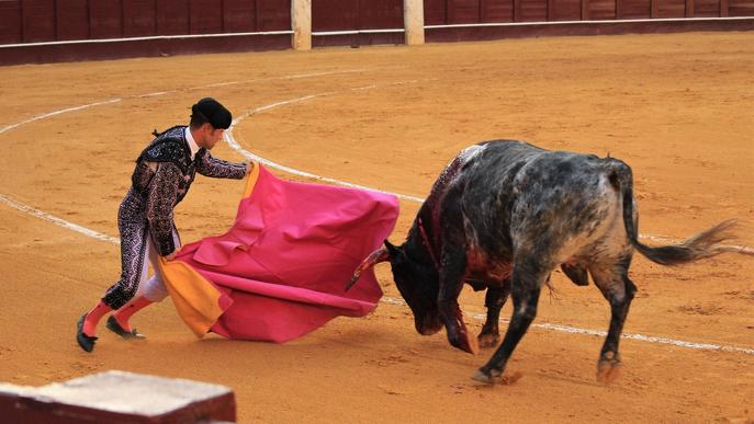 ⏯️ Deu anys de la prohibició dels toros a Catalunya: "Avui s'acaben cinc segles de crueltat"