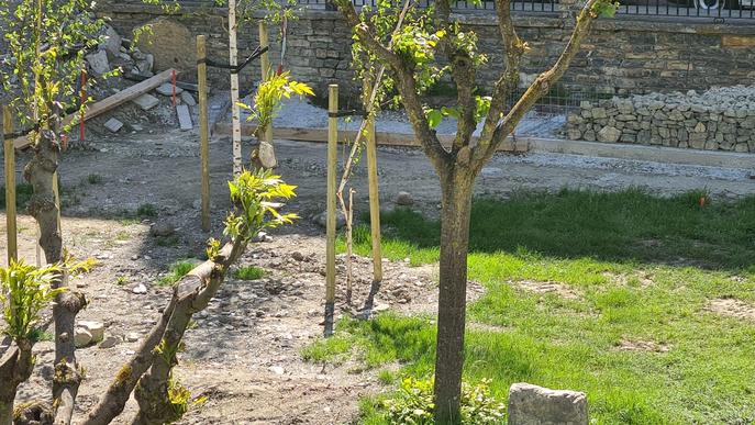 Una vintena d'arbres malmesos arran d'un acte vandàlic a Sort