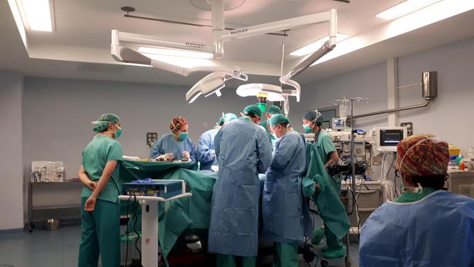 Cirurgians russos milloren tècnica en un curs impartit a l'Arnau
