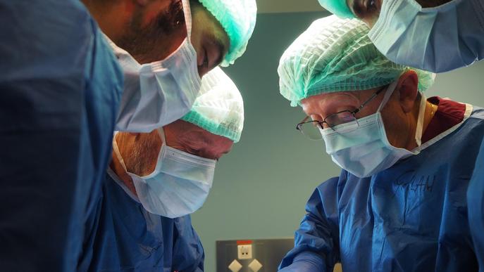 Dotze professionals mèdics es formen al CREBA en tècniques complexes de cirurgia toràcica