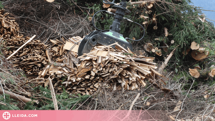 Knauf instal·larà una planta de biomassa a la fàbrica de Guixers i crearà uns 200 llocs de treball