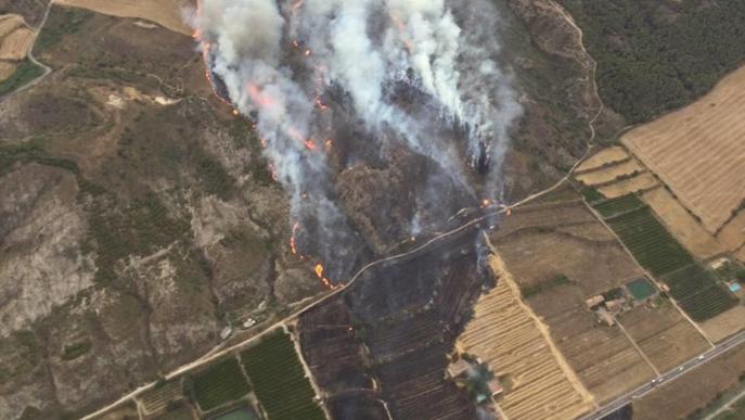 Un incendi afecta 55 hectàrees de vegetació al Segrià