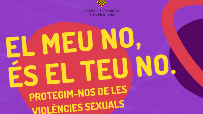 El Consell Comarcal de la Noguera posa en marxa la campanya de sensibilització i conscienciació contra les violències sexuals 