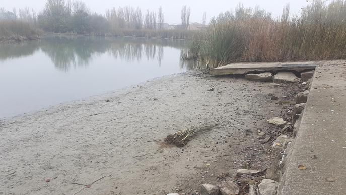 ⏯️ El buidatge parcial de l'estany d'Ivars i Vila-sana millora la qualitat dels sediments