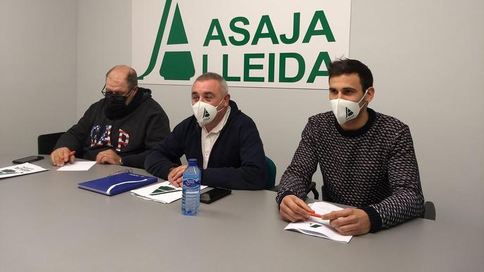 Jordi Vidal assumeix la coordinació de la sectorial de la fruita dolça d'Asaja Lleida