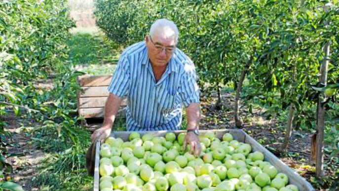 Una finca de fruita de Lleida