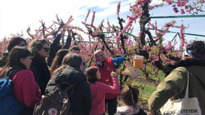 Aitona rep milers de visitants en un cap de setmana "històric" a la campanya de la floració