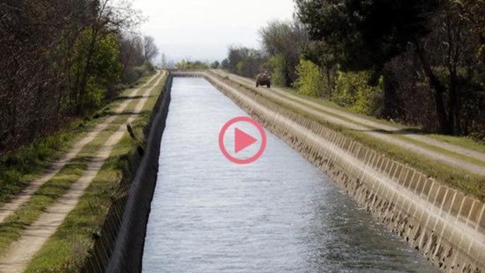 ⏯️ Les obres de modernització del Canal d'Urgell es preveuen pel 2022