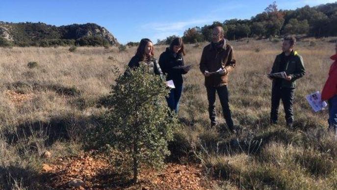 Una recerca del CTFC i la UdL constata que la tòfona pot "donar vida" als camps abandonats del Pirineu