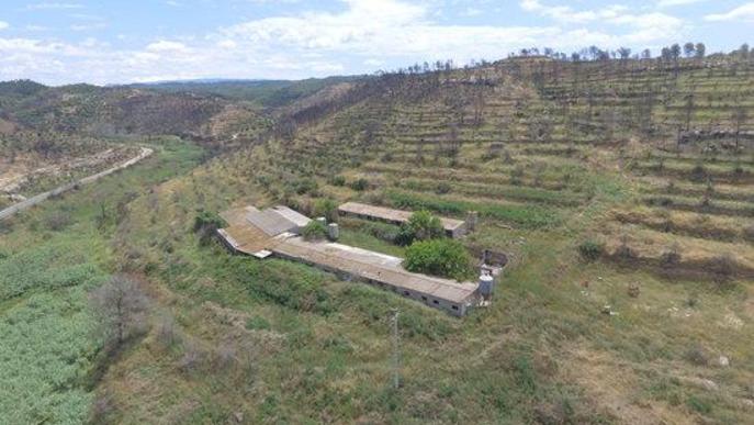 ⏯️ La zona cremada per l'incendi de la Ribera d'Ebre, un any després a vista de dron