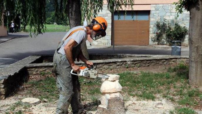 ⏯️ Esterri d'Àneu dissenya un circuit de 25 escultures de fusta de flora i fauna del Pirineu