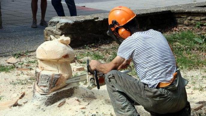 ⏯️ Esterri d'Àneu dissenya un circuit de 25 escultures de fusta de flora i fauna del Pirineu