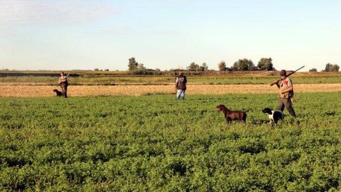 ⏯️ Els caçadors es lliuren de la mascareta