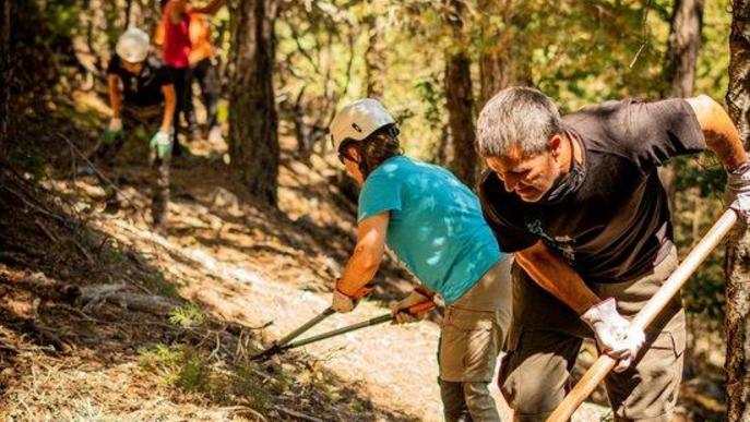 Pla general de voluntaris treballant al bosc l'estiu del 2020. 