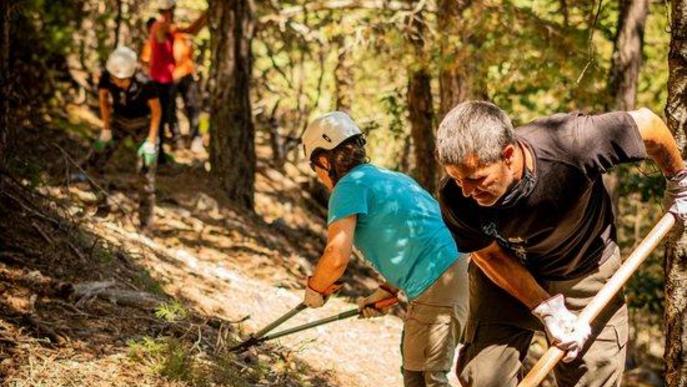 Pla general de voluntaris treballant al bosc l'estiu del 2020