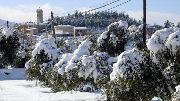 ⏯️ Pobles de les Garrigues acceleren la retirada de neu per evitar la formació de gel