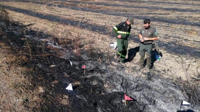 Els Agents Rurals determinen que una burilla de cigarreta va causar l'incendi d'Alfarràs