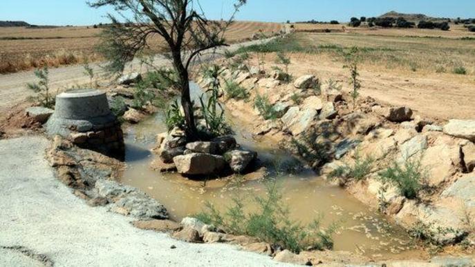 Els regants de l'Algerri-Balaguer plantegen captar aigua des del canal Pinyana
