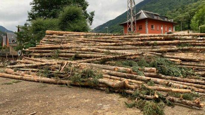 La Val d'Aran aprofitarà la fusta dels boscos per alimentar calderes de biomassa