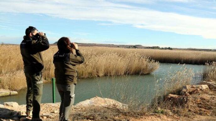 ⏯️ Troben 13 ocells morts més a la zona del focus de grip aviària detectat a un poble del Segrià