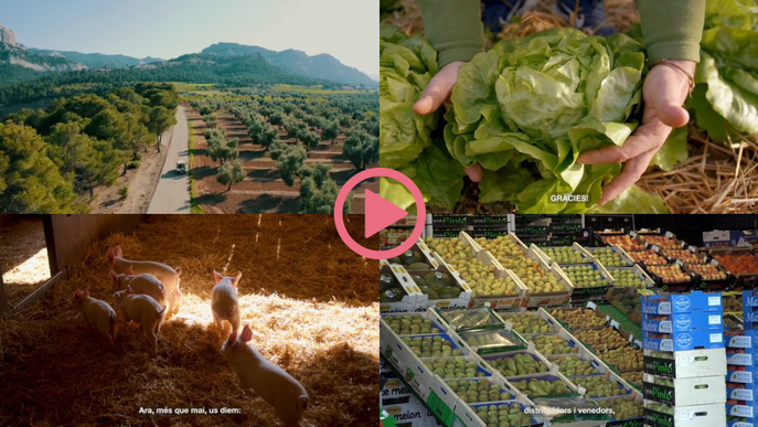 ⏯️ Agricultura homenatja el sector agroalimentari per proveir aliments durant el confinament