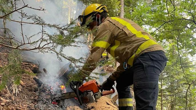 Extingit l'incendi forestal ocasionat per un llampec a la Vall d'Aran