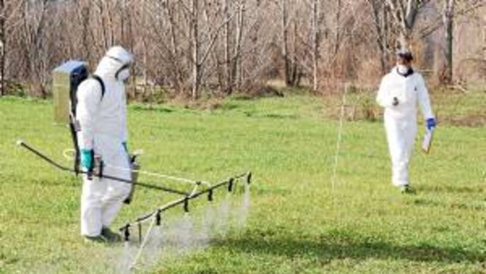 La UdL valida un sistema que permet reduir l'ús d'herbicides en un 30% mantenint-ne l'eficàcia
